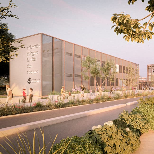 faber-faculte-angers01